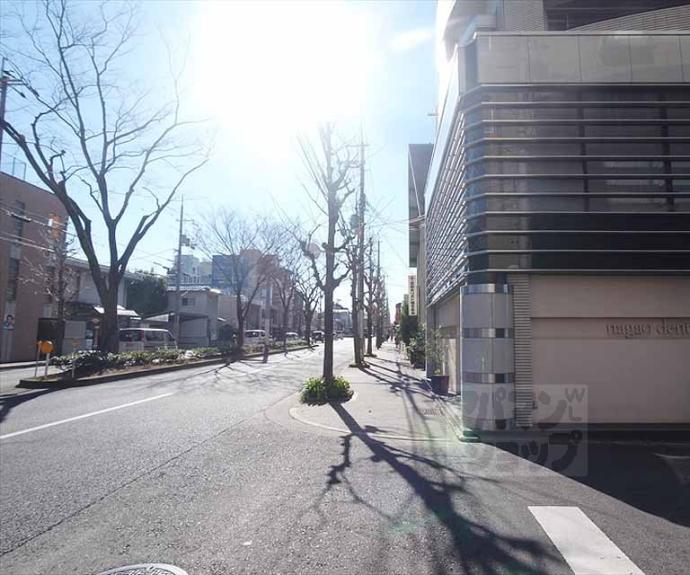 【レヴィア北白川】間取