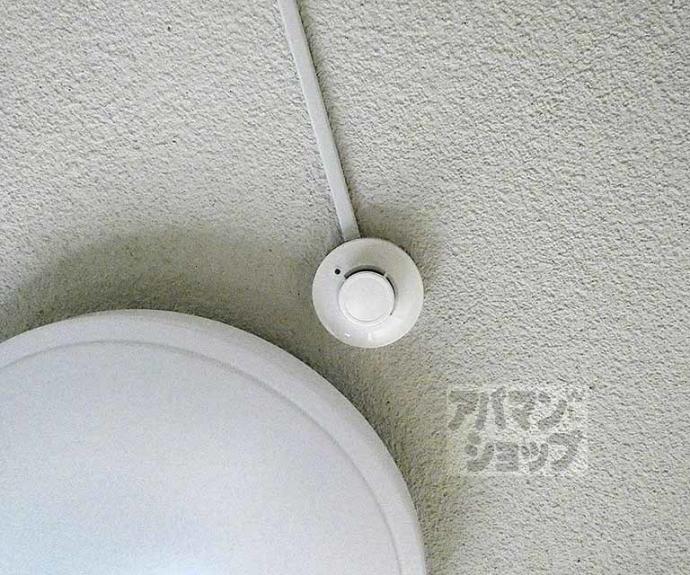 【ルネ堀川】間取