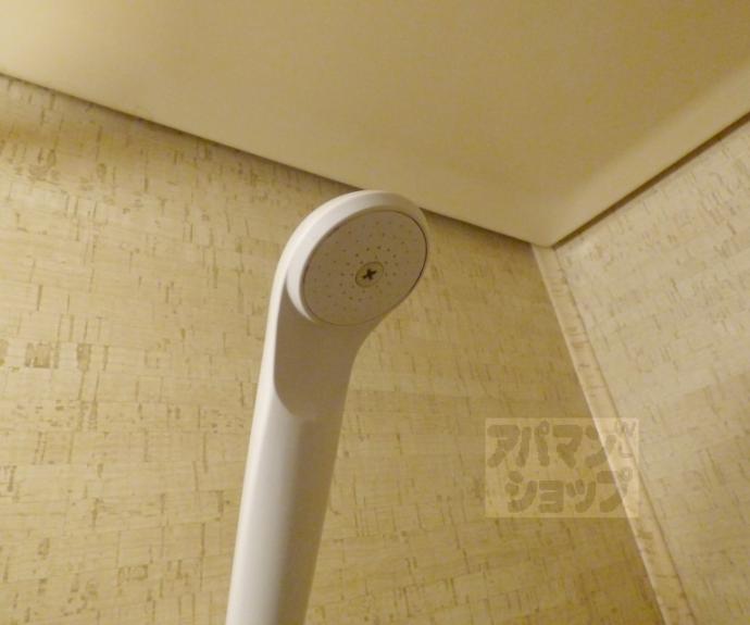 【岩倉中大鷺町マンション】間取