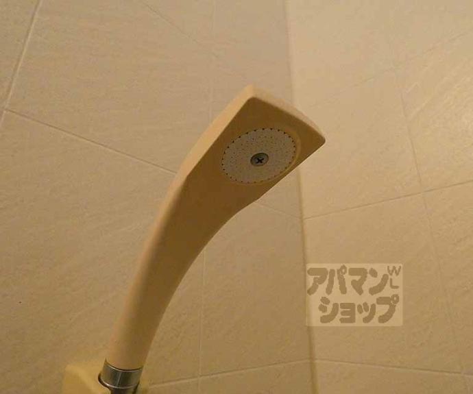 【おおきに百万遍サニーアパートメント】間取