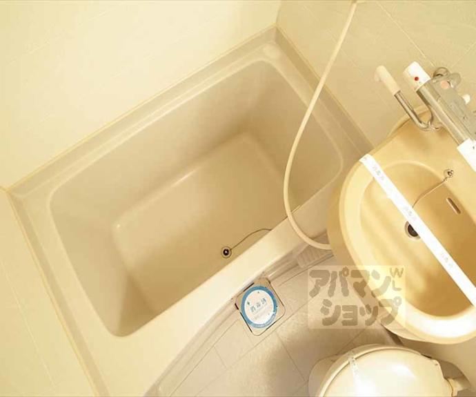 【おおきに百万遍サニーアパートメント】間取