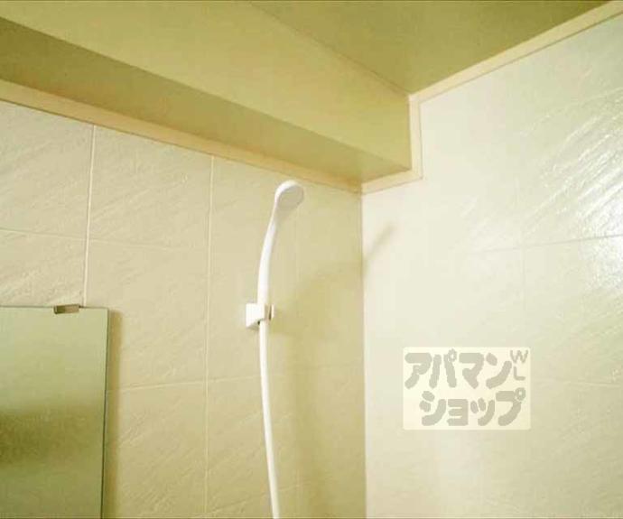 【おおきに百万遍サニーアパートメント】間取