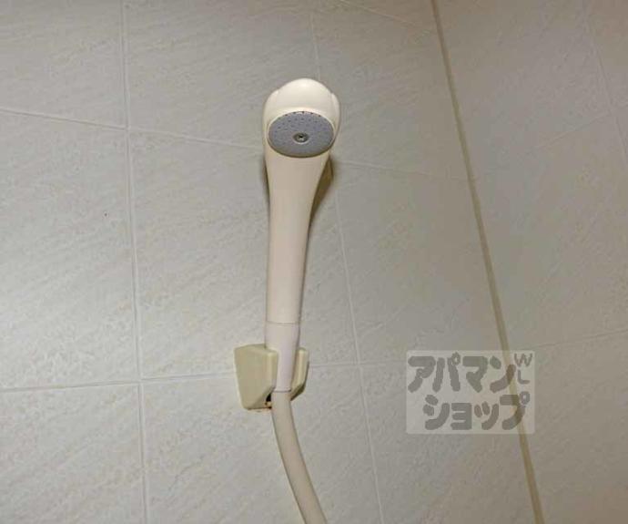 【おおきに百万遍サニーアパートメント】間取