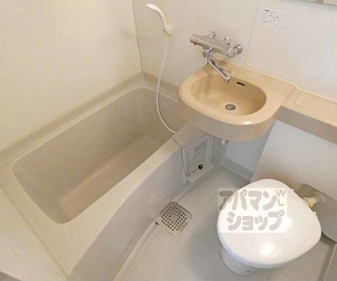 【おおきに百万遍サニーアパートメント】間取