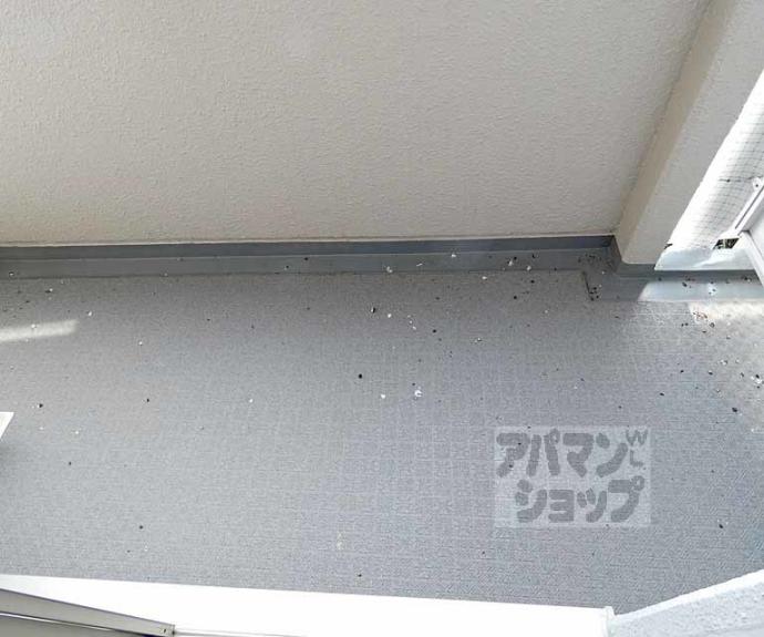 【おおきに百万遍サニーアパートメント】間取