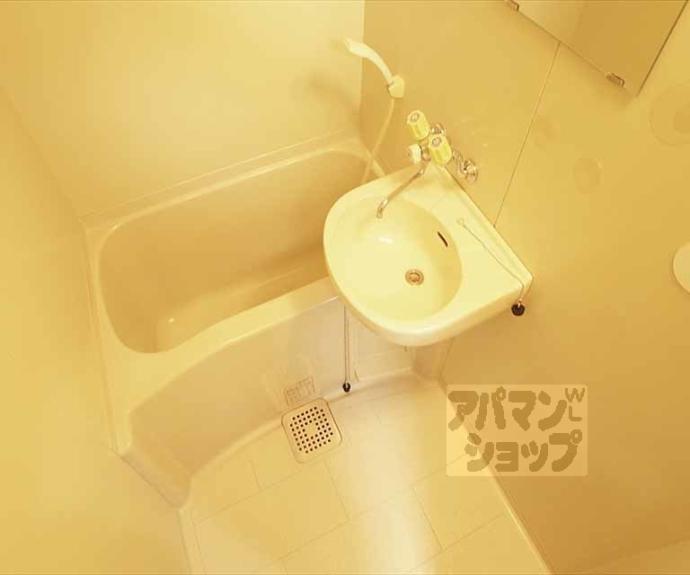 【アムズコート】間取