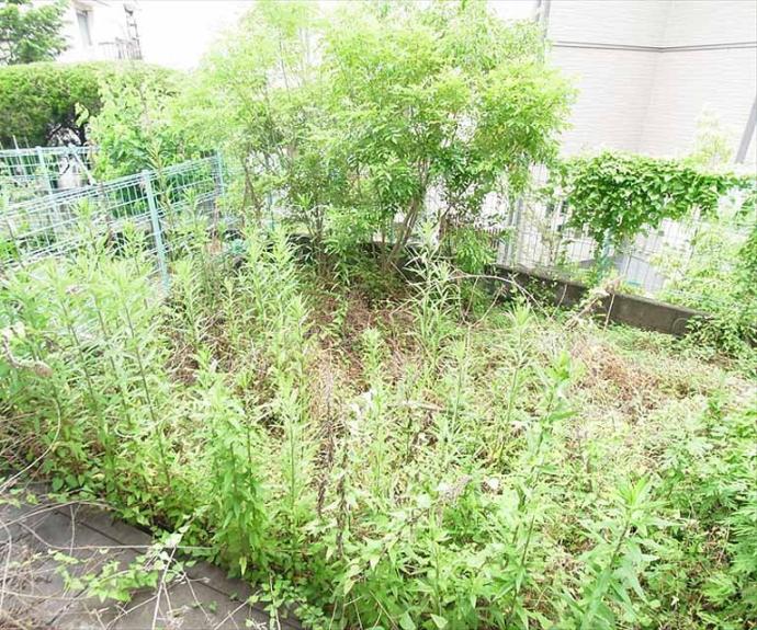 【コーポ岩倉】間取