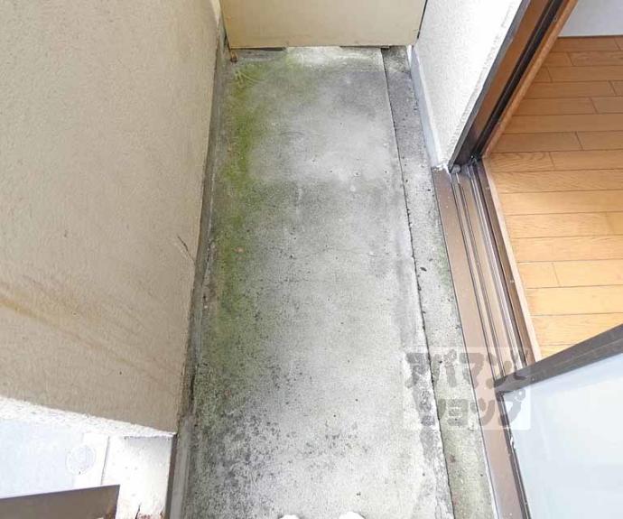 【サンライズヒガシラ】間取