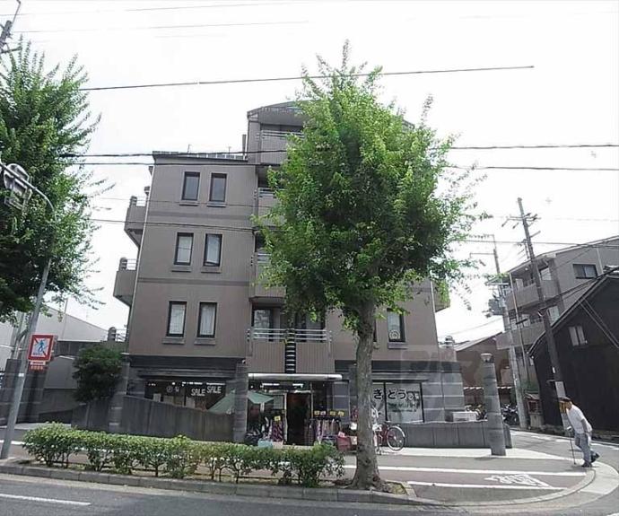 【プレズィール衣笠】間取