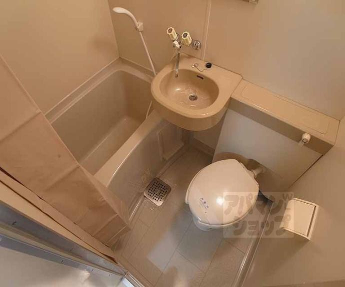 【ジョイフル紫野】間取