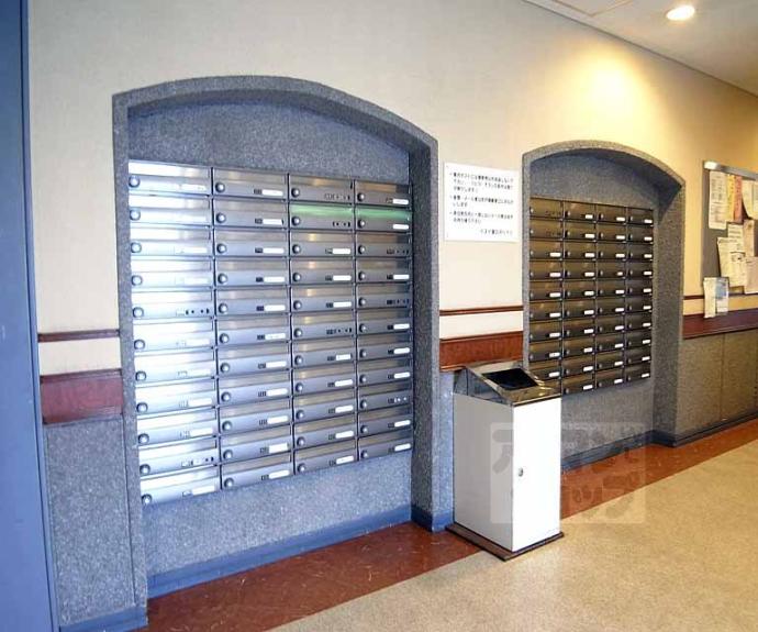 【イヌイ星の子ハイツ】間取