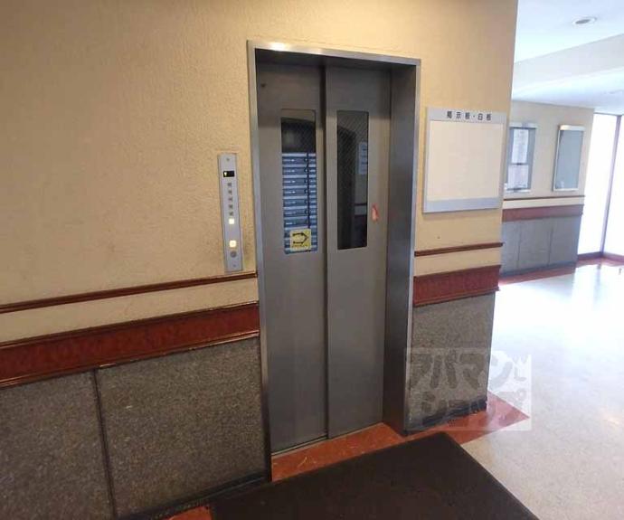 【イヌイ星の子ハイツ】間取