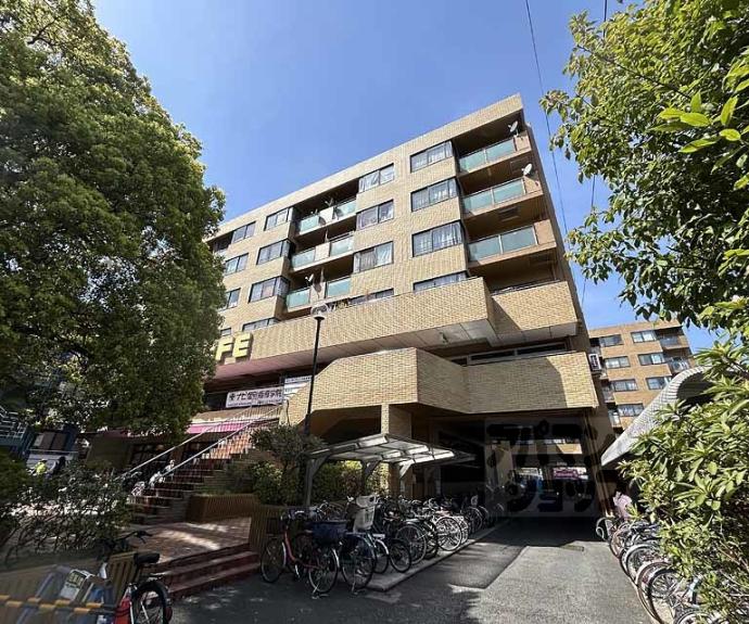 【イヌイ星の子ハイツ】間取