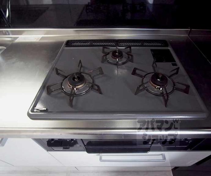 【イヌイ星の子ハイツ】間取