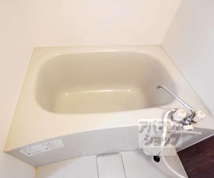 【イヌイ星の子ハイツ】間取