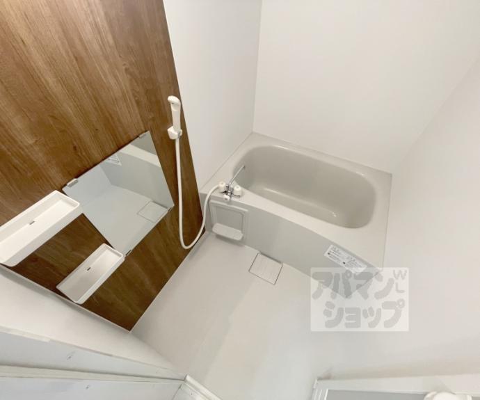 【イヌイ星の子ハイツ】間取