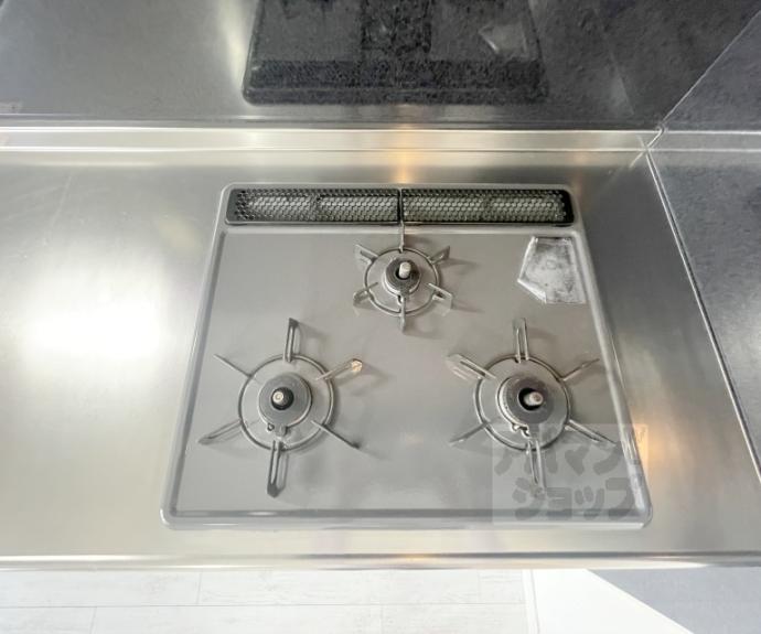 【イヌイ星の子ハイツ】間取