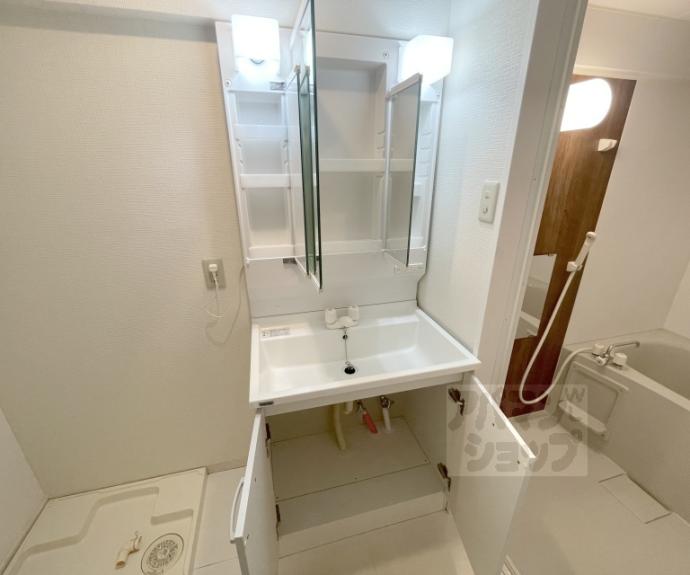 【イヌイ星の子ハイツ】間取