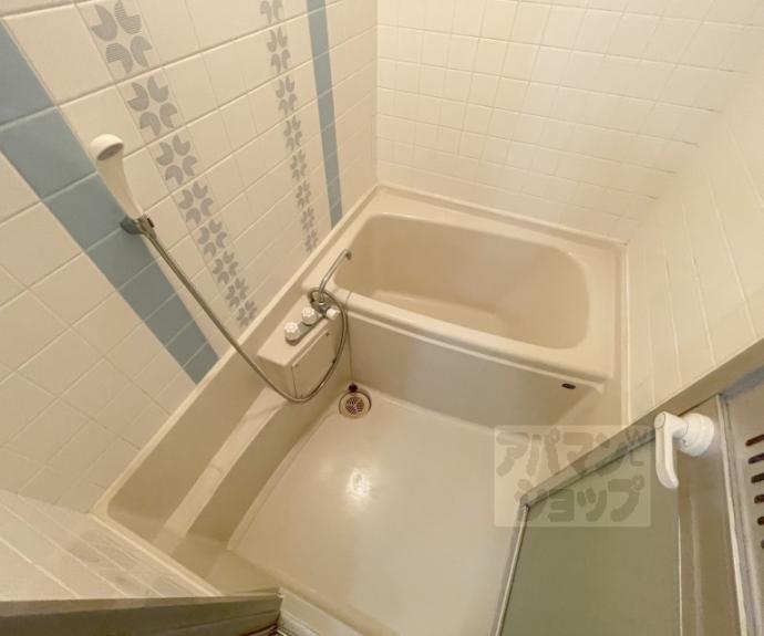 【イヌイ星の子ハイツ】間取