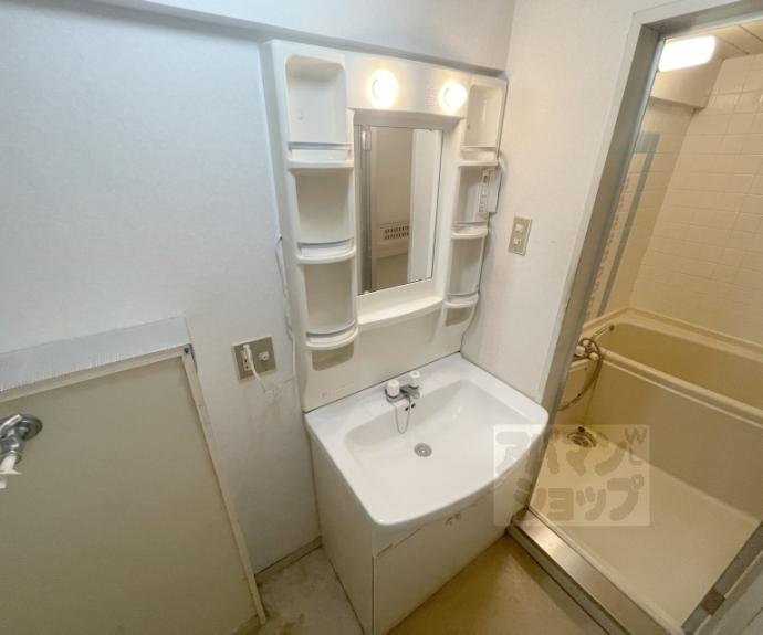 【イヌイ星の子ハイツ】間取