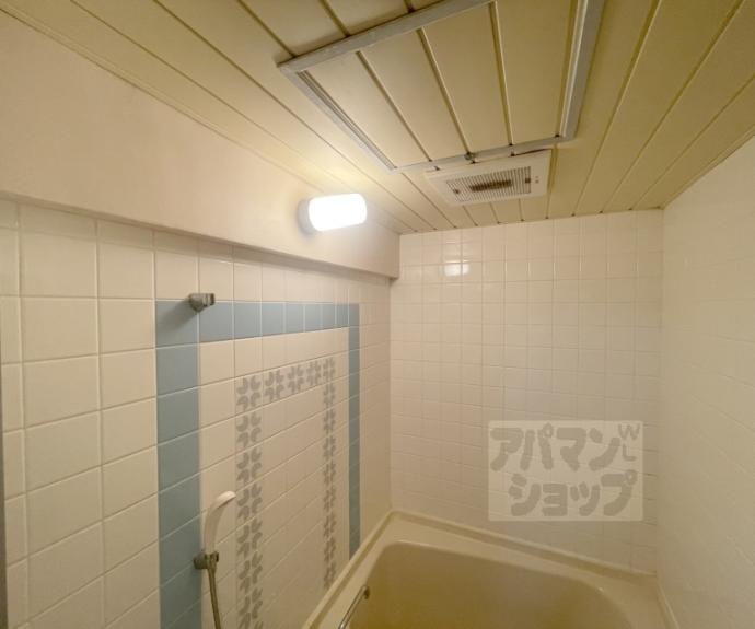 【イヌイ星の子ハイツ】間取