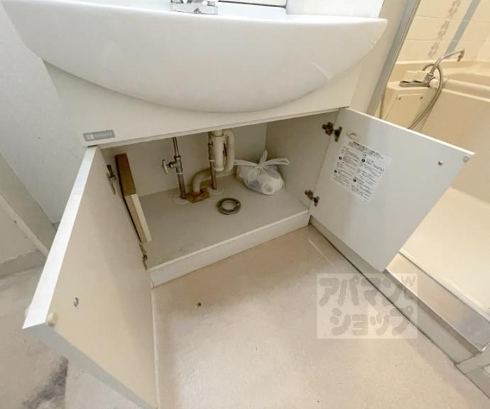 【イヌイ星の子ハイツ】間取