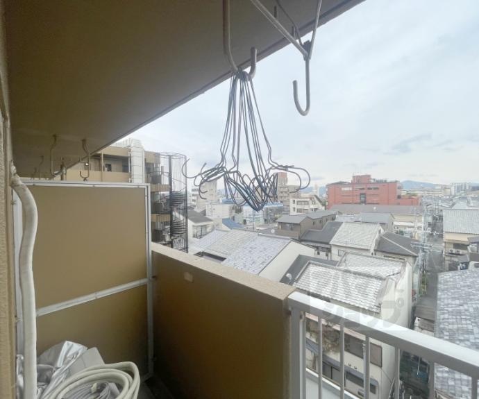 【イヌイ星の子ハイツ】間取