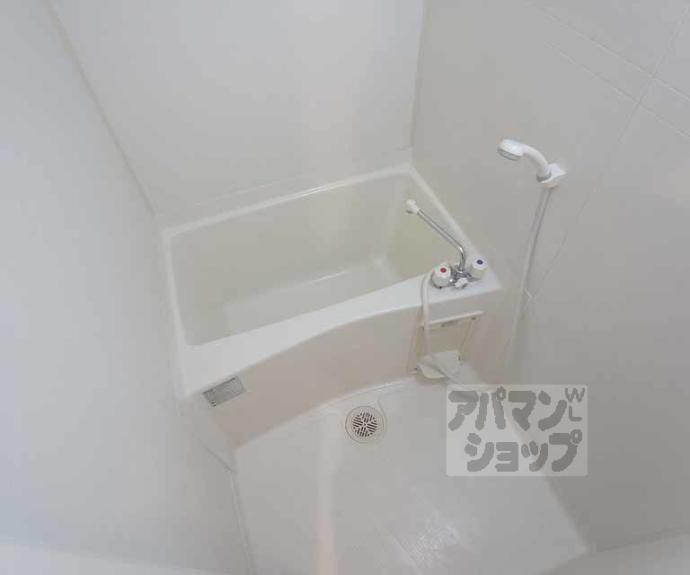 【ビエント】間取