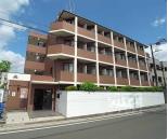 DETOM-1鴨川