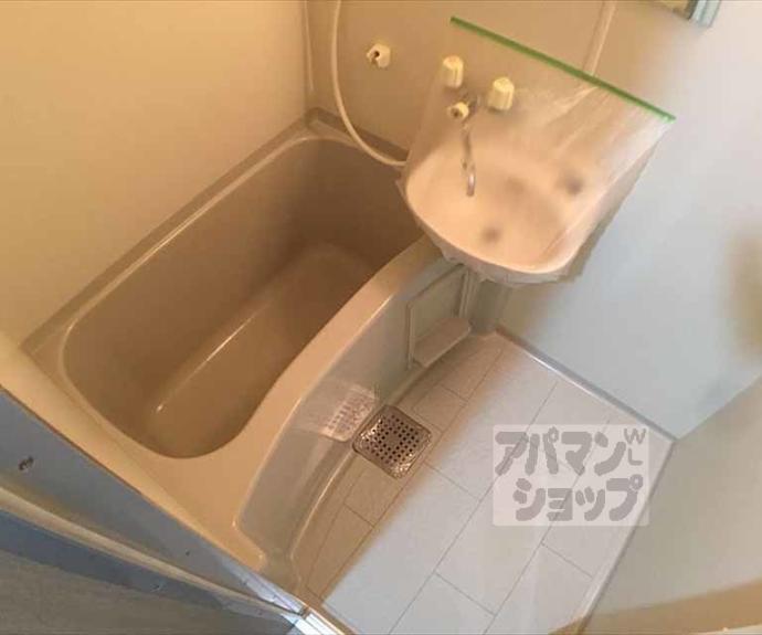 【セレッソコート京都御所西】間取