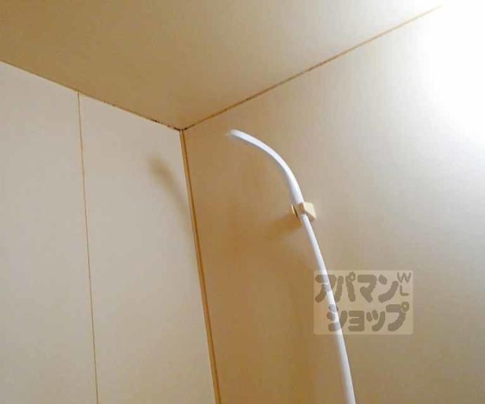 【ハイツナカジマ】間取