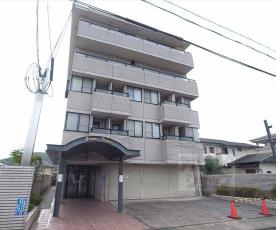 グリーンヴュー：間取図