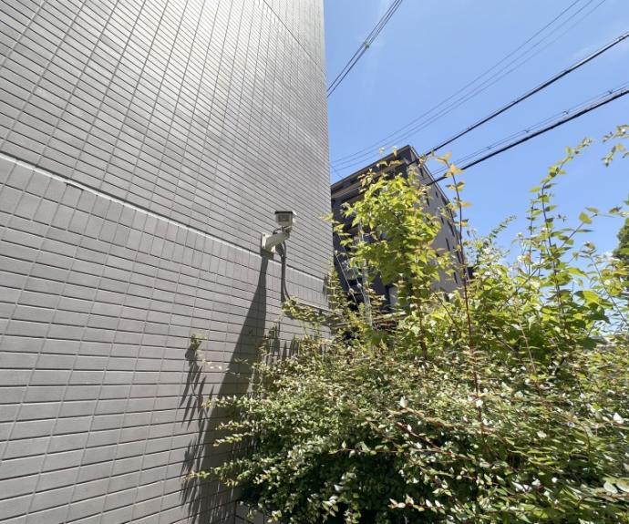 【クレマチス28】間取