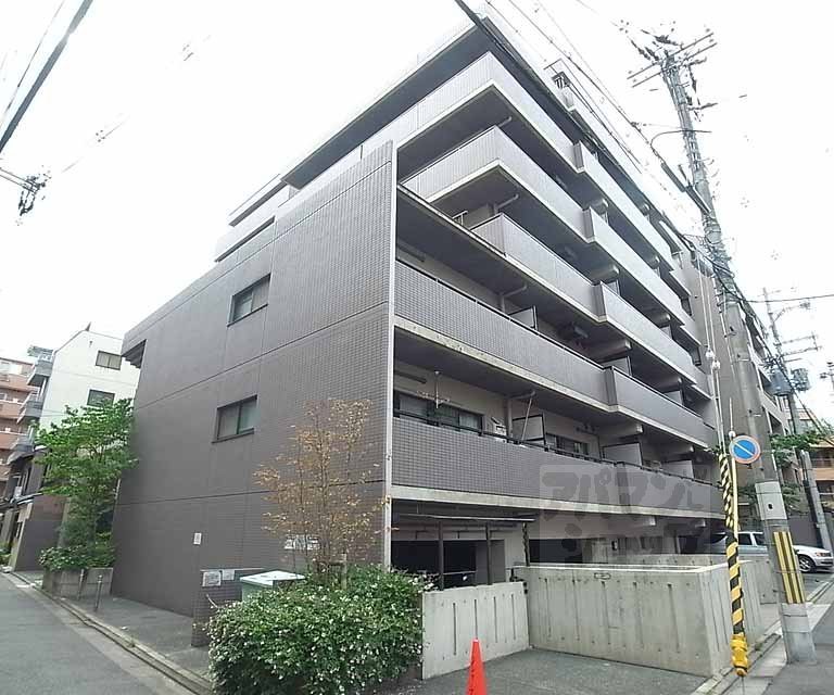 クレマチス２８