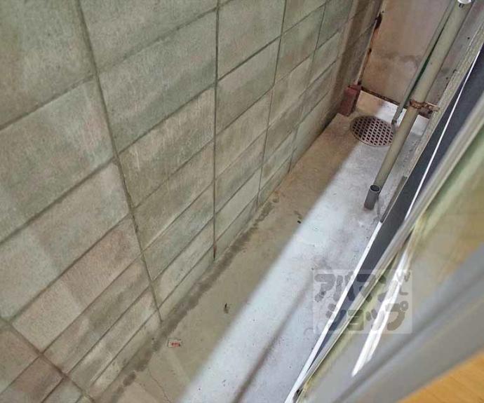 【リバーサイド下鴨】間取