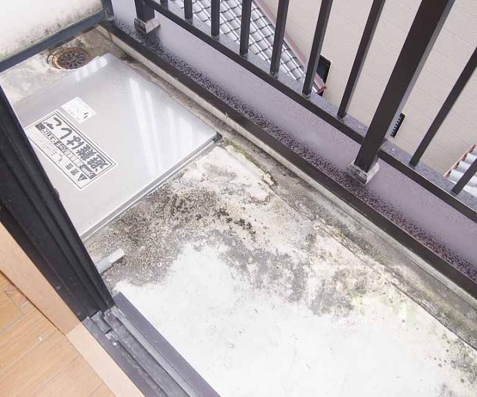 【スパッションＭ＆Ｊ】間取