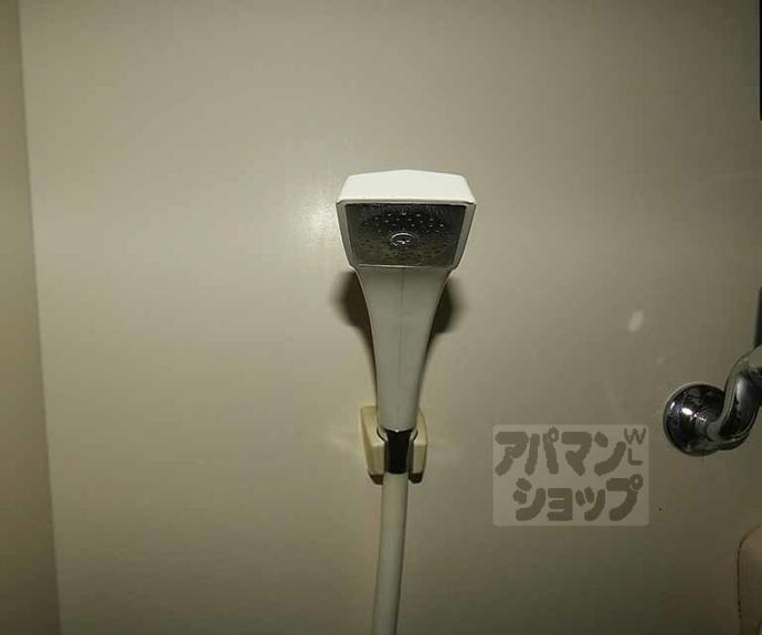 【Ｐｅｐｅｒｅ　Ｎ】間取