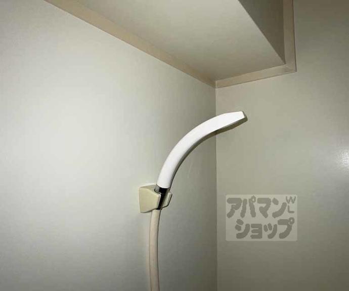 【Ｐｅｐｅｒｅ　Ｎ】間取