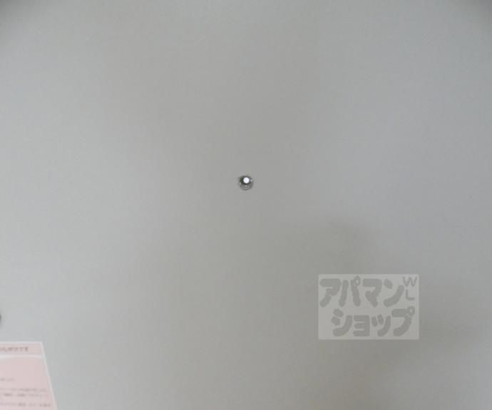 【カーサコーザ】間取