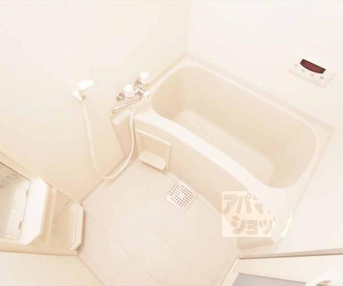 【ドリーミーＫ】間取