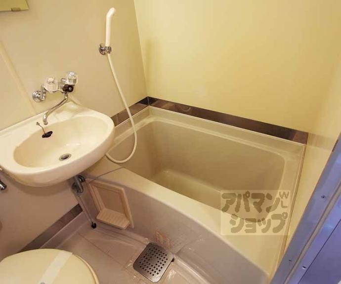 【ペルベーネ・タカラ】間取