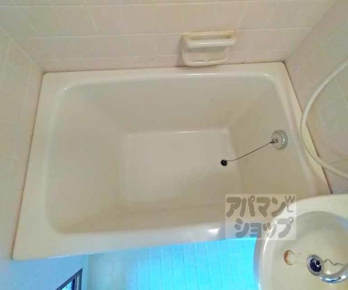 【スイトピー桃山】間取