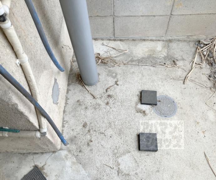 【葉月荘】間取