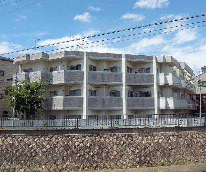 【コスモ伏見住吉町】間取