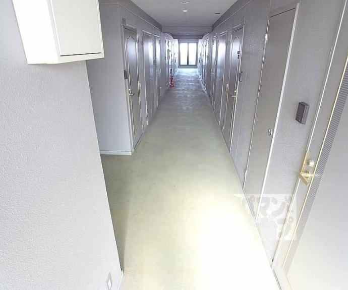 【アルカディア・シティ】間取