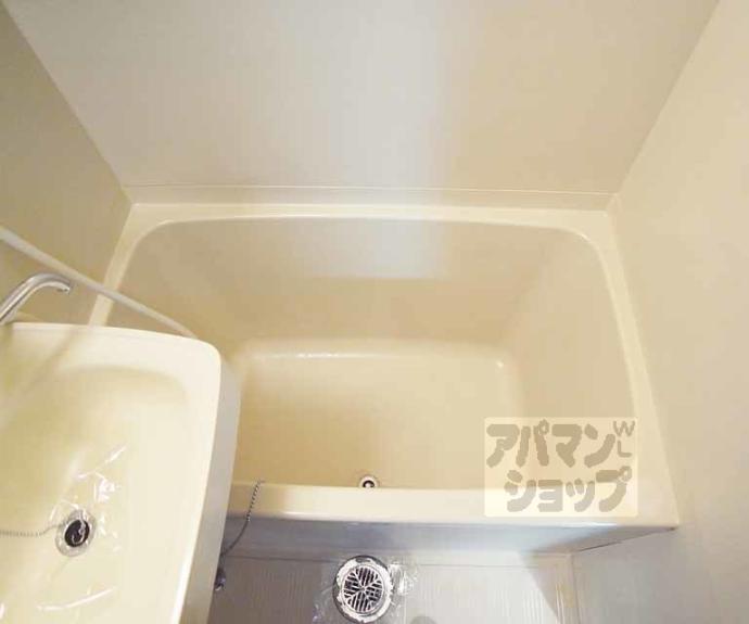 【ティファニーハイツ】間取