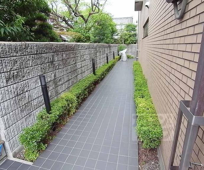【コンフォート清水】間取