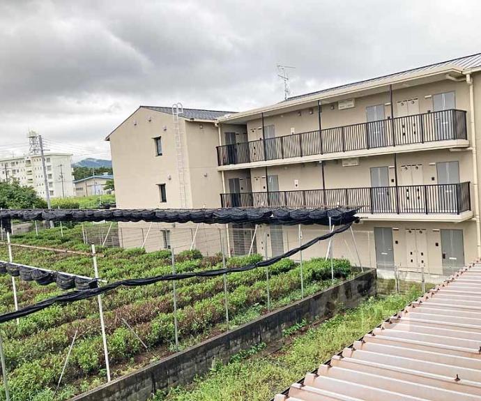 【ジョイフルＦｏｒｔｕｎｅ】間取