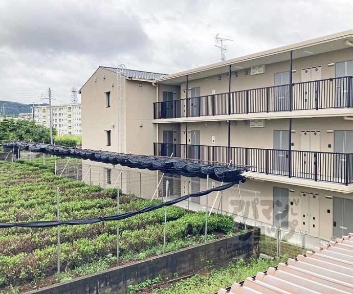 【ジョイフルFortune】間取