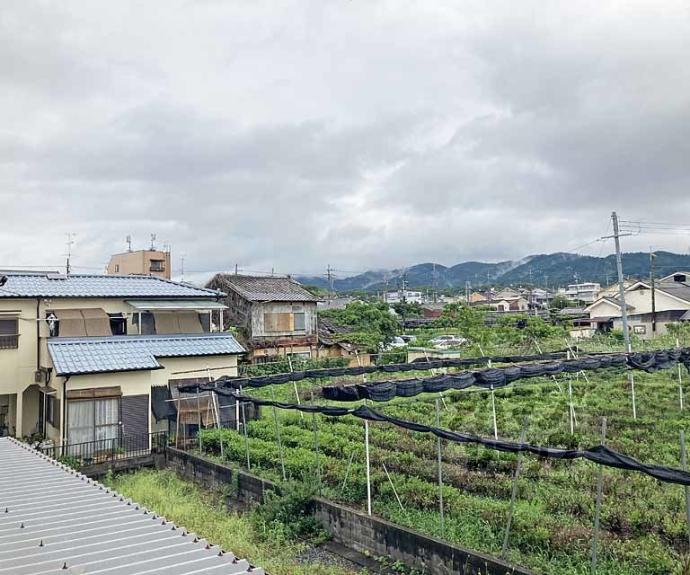 【ジョイフルFortune】間取